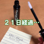 看護師,ブログ,日常,ReviveLush,リバイブラッシュ,3週間,検証,マツ育,マツエク